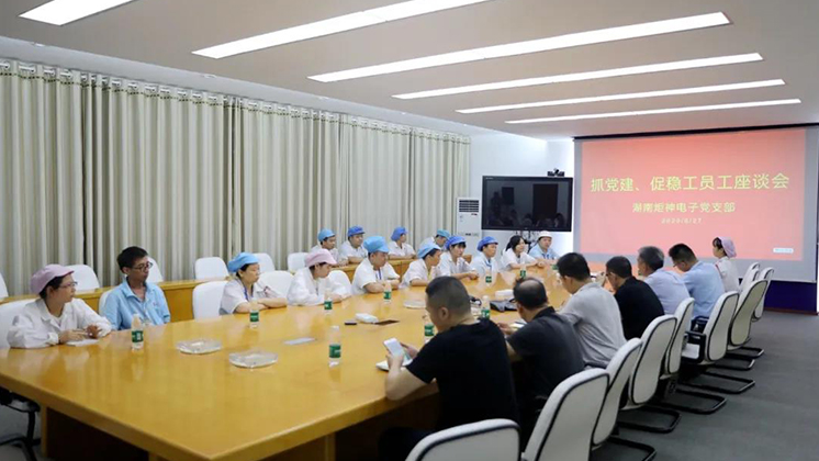 抓黨建、促穩工”——炬神電子黨支部為企業穩工獻計獻策